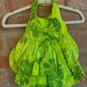 Handmade doggie dress